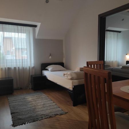 Apartments & Accommodation Stojic Novi Sad Rum bild